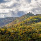 Herbst auf der Alb