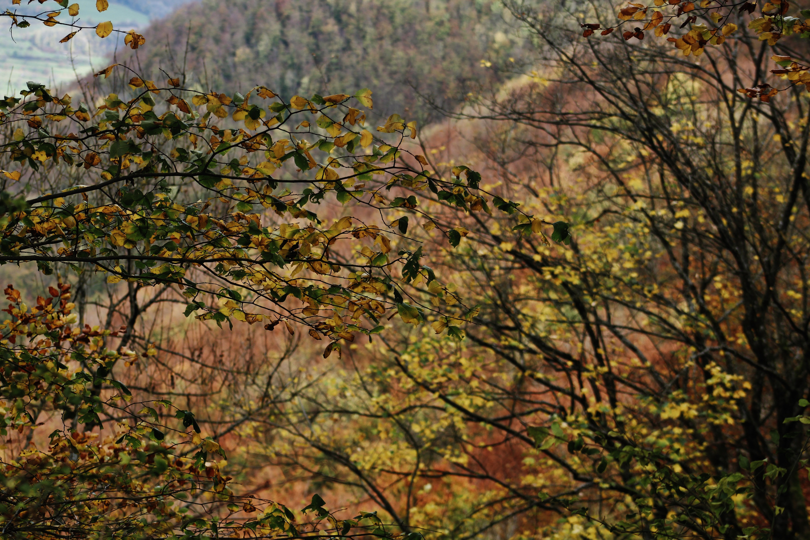 Herbst auf der Alb