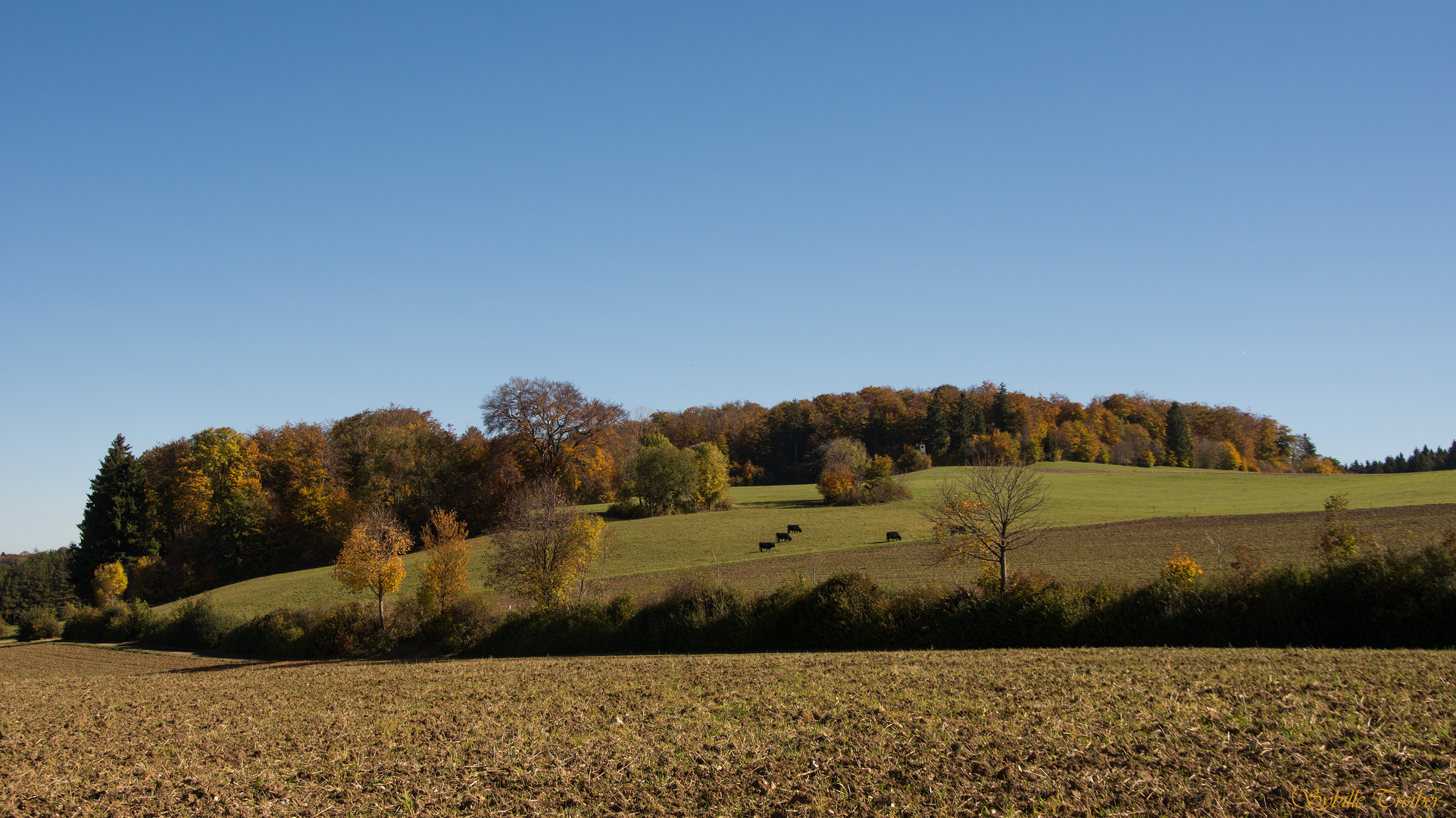 Herbst auf der Albhochfläche