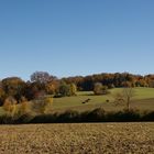 Herbst auf der Albhochfläche