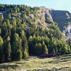 Herbst auf der Alm