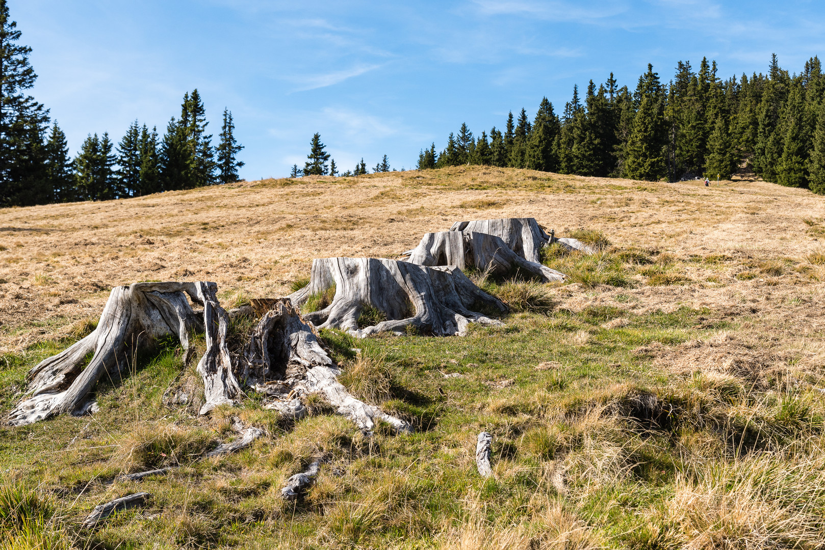 _Herbst auf der Alm