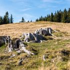 _Herbst auf der Alm