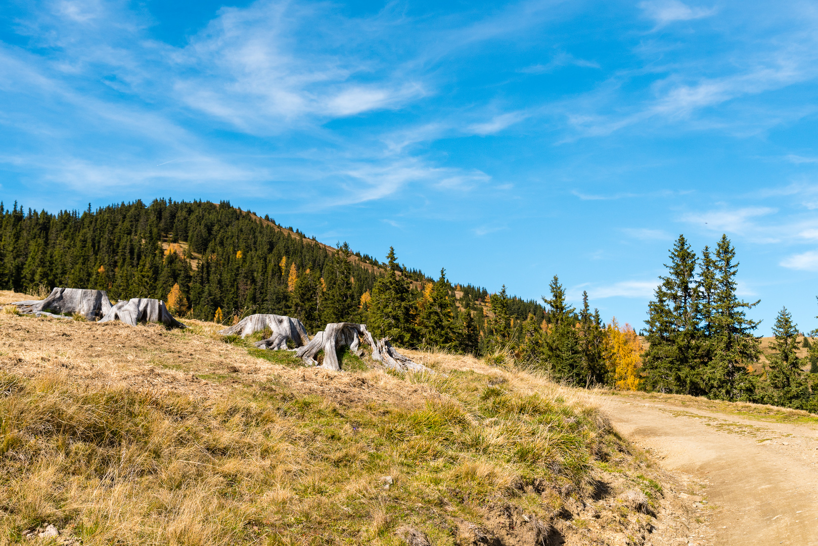 Herbst auf der Alm