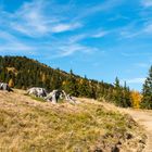 Herbst auf der Alm