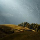 Herbst auf der Alm