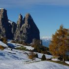 Herbst auf der Alm