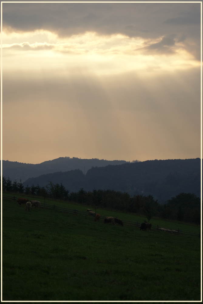 Herbst auf der Alm