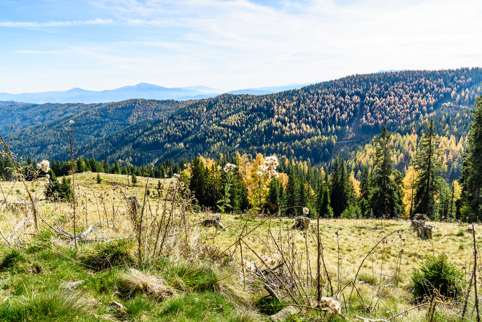 Herbst auf der Alm