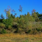 Herbst auf der Aufbereitung der ehemaligen Grube Altenberg (2)