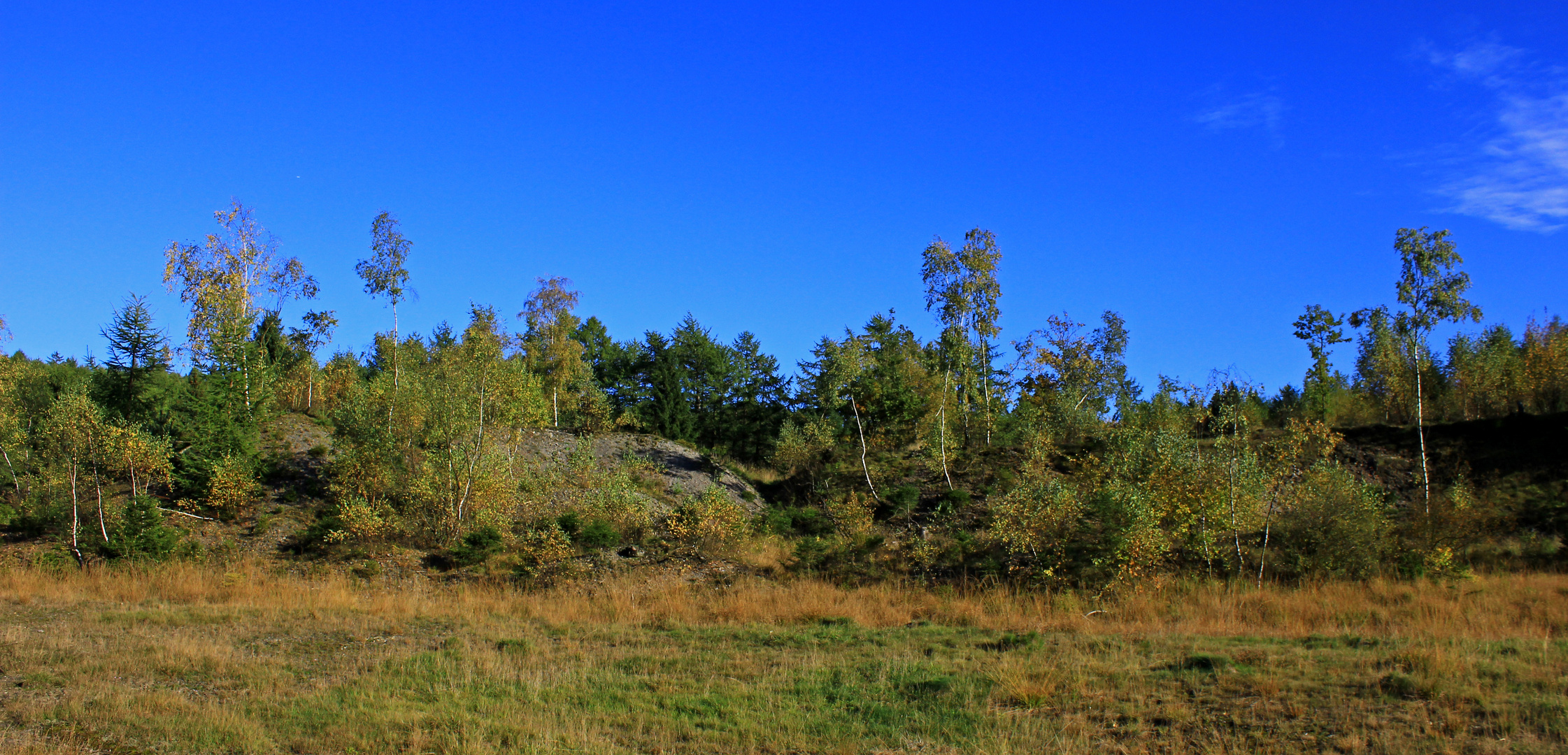 Herbst auf der Aufbereitung der ehemaligen Grube Altenberg (5)