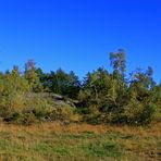 Herbst auf der Aufbereitung der ehemaligen Grube Altenberg (5)