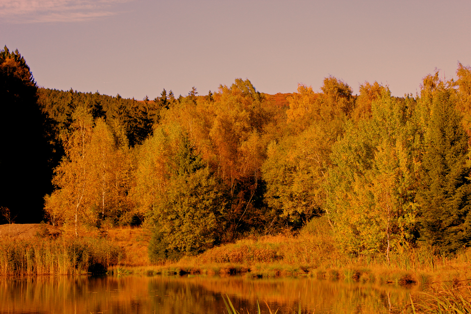 Herbst auf der Aufbereitung der ehemaligen Grube Altenberg (im Abendlicht)