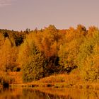 Herbst auf der Aufbereitung der ehemaligen Grube Altenberg (im Abendlicht)