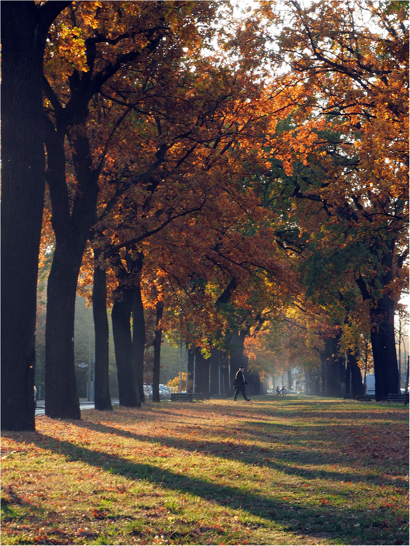 Herbst auf der B1