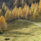 Herbst auf der Bachlalm