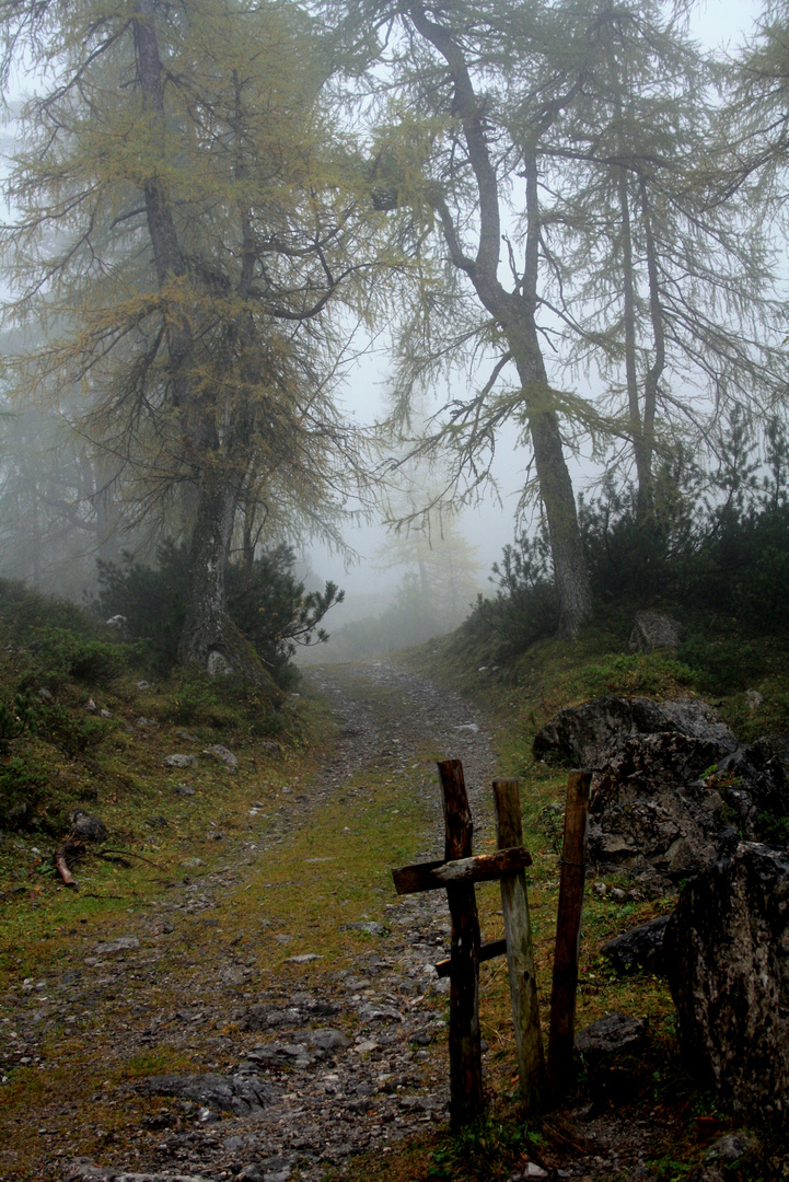 Herbst auf der Binsalm