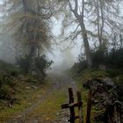 Herbst auf der Binsalm