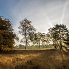 Herbst auf der Brunssummerheide.