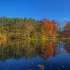 Herbst auf der Brunssummerheide