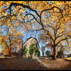 Herbst auf der Burg Trendelburg