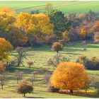 Herbst auf der Dönche in Kassel