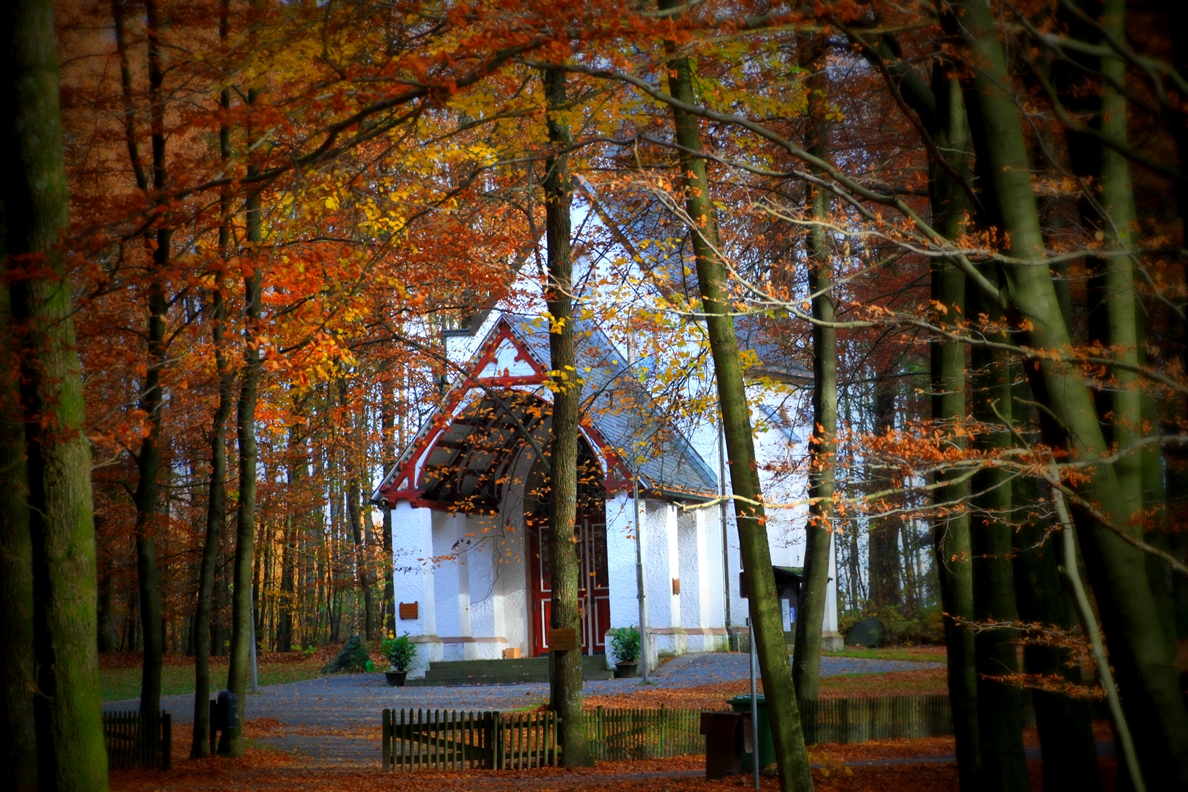 Herbst auf der Dörnschlade..