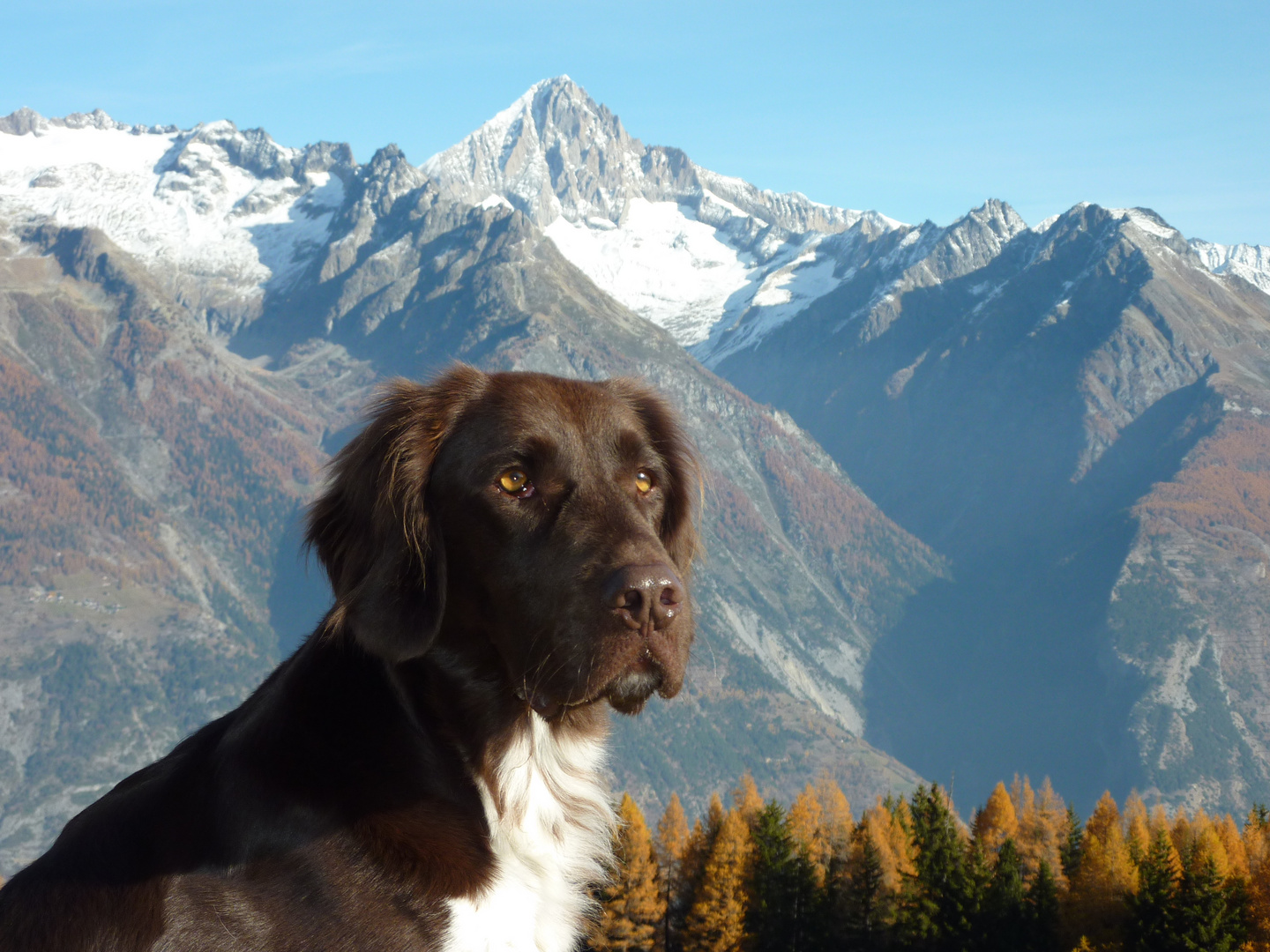 Herbst auf der Eischollalp