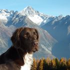 Herbst auf der Eischollalp