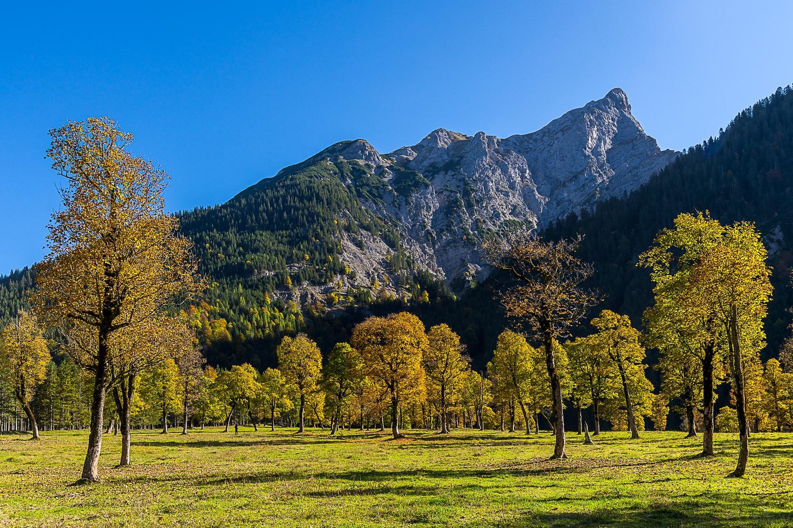 Herbst auf der Engalm