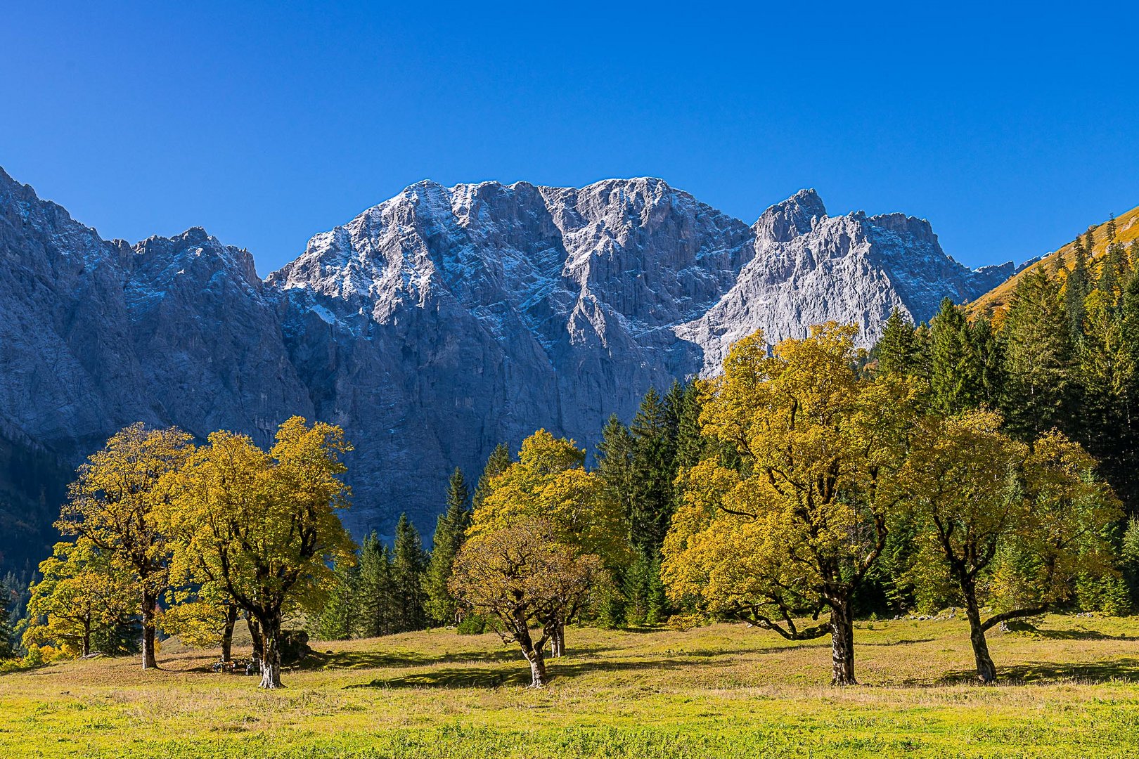 Herbst auf der Engalm