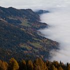Herbst auf der Gerlitzen (Kärnten)
