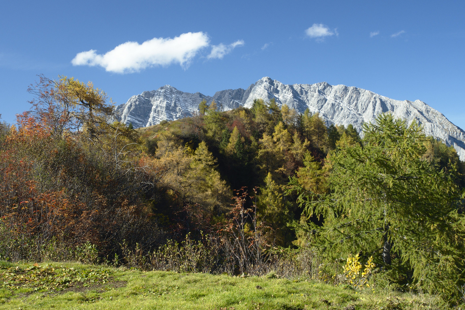 Herbst auf der Gotzenalm