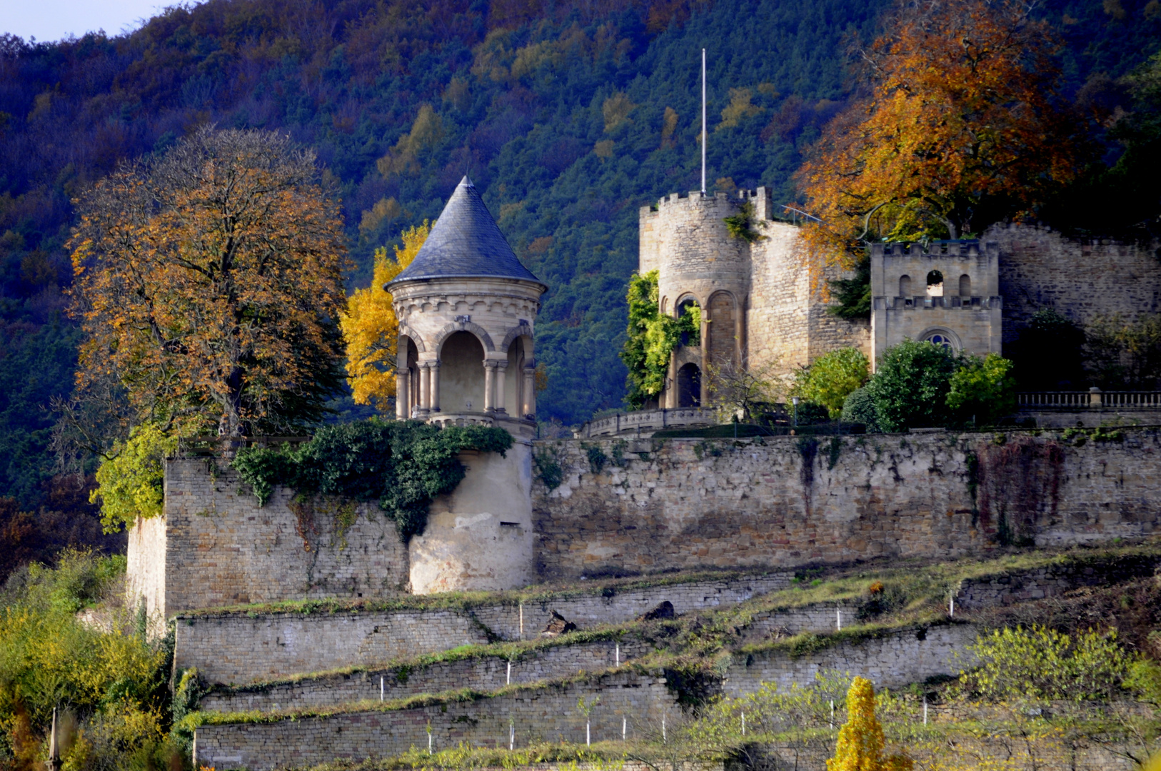 herbst auf der haardt