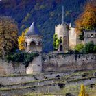 herbst auf der haardt