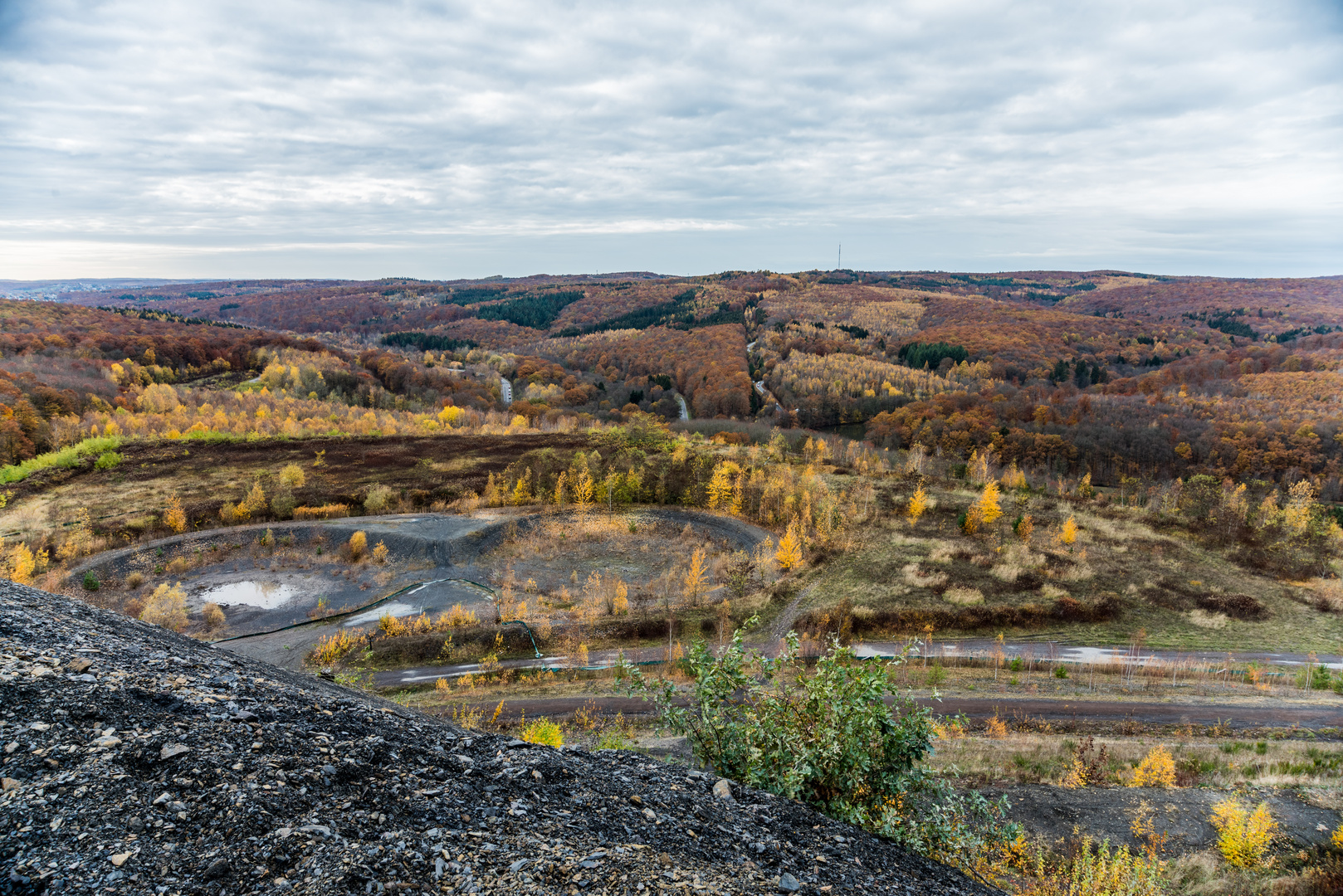 Herbst auf der Halde Lydia Camphausen (Saarland)