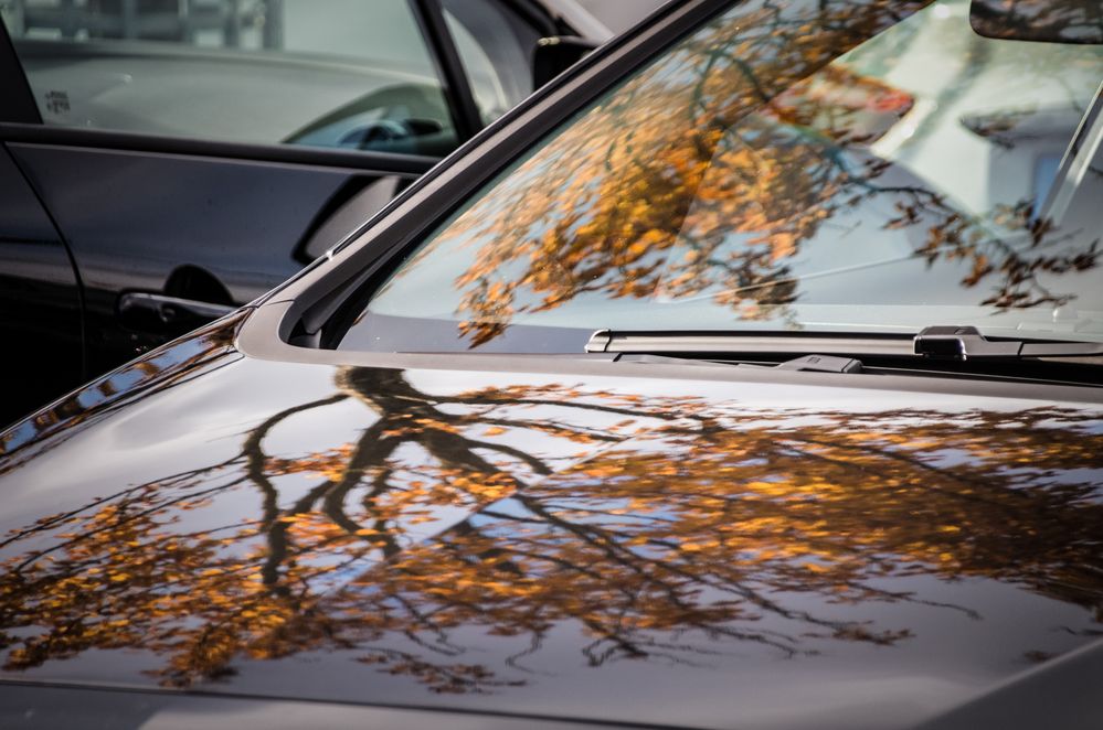 Herbst auf der Haube