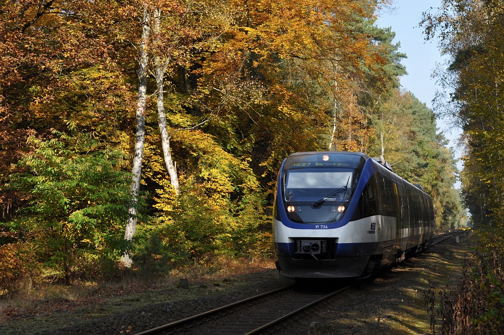 Herbst auf der Heidekrautbahn