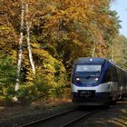 Herbst auf der Heidekrautbahn