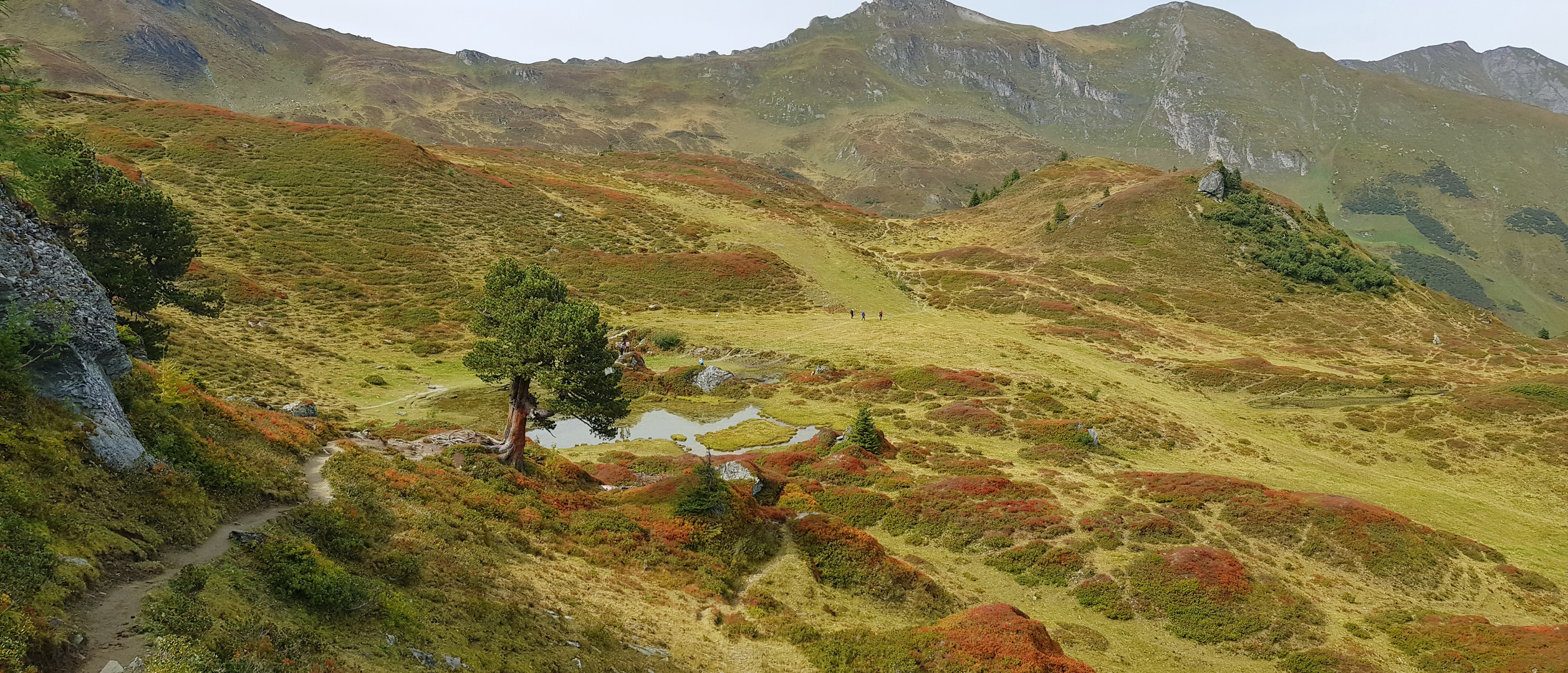 Herbst auf der Hochalm - Hofgastein