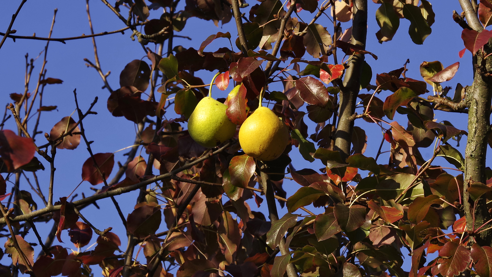 Herbst auf der Hochebene