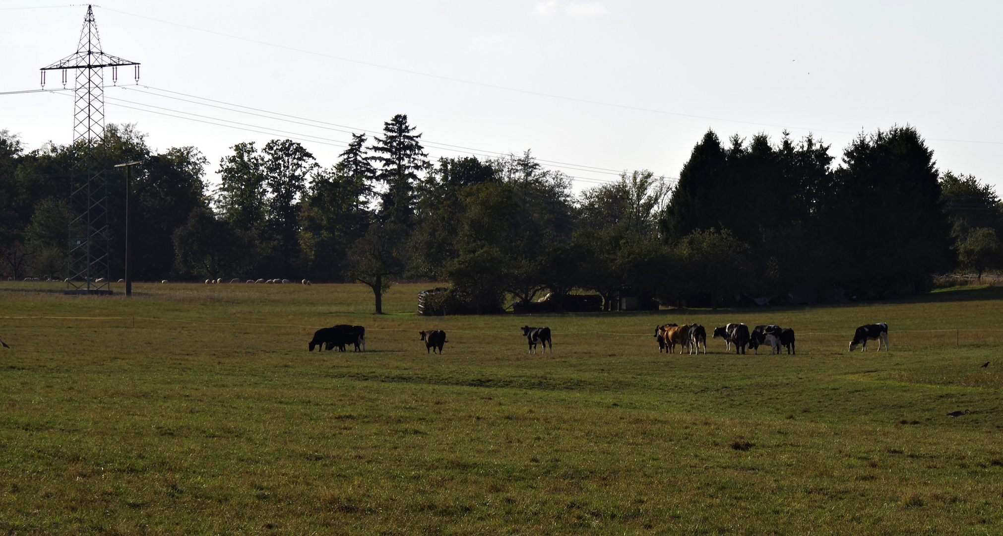 Herbst auf der Hochebene