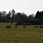 Herbst auf der Hochebene