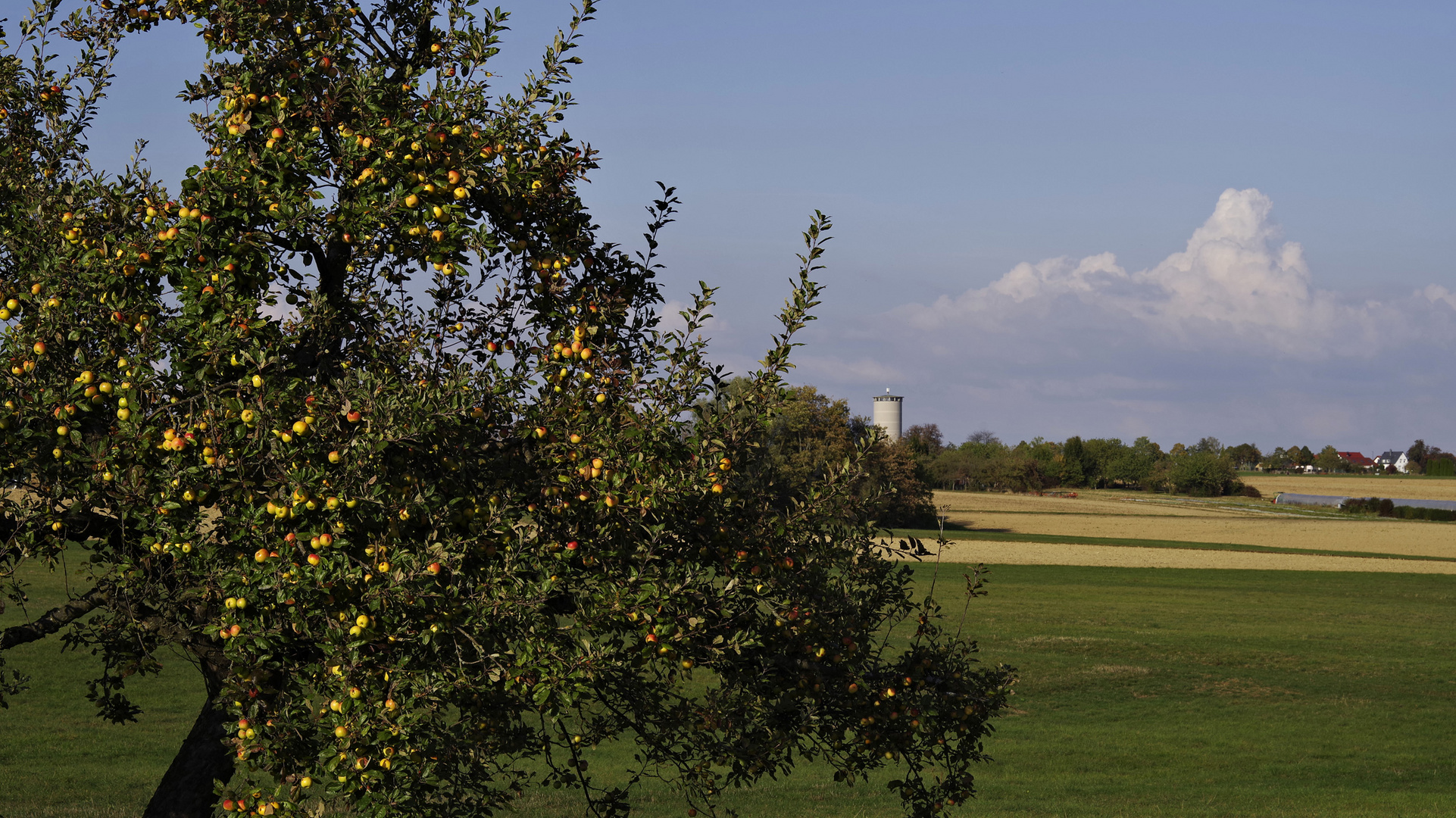 Herbst auf der Hochebene