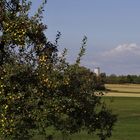 Herbst auf der Hochebene