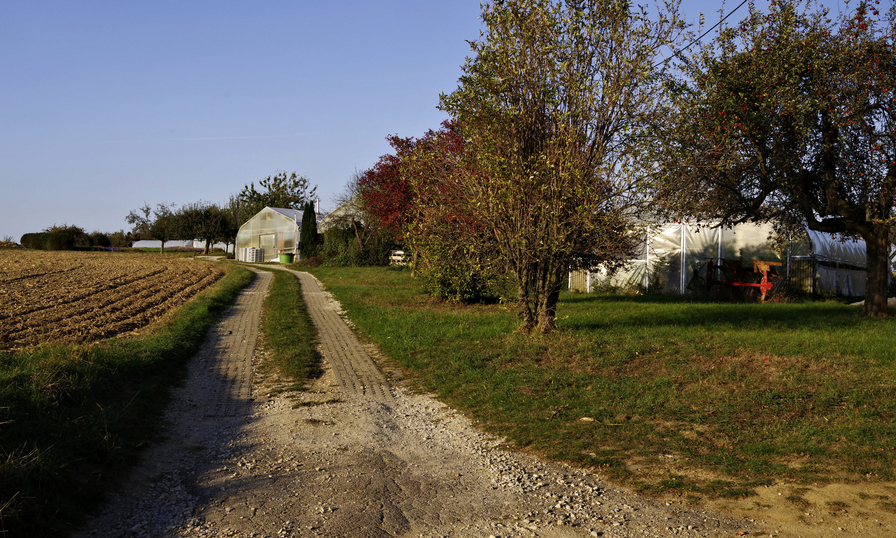 Herbst auf der Hochebene