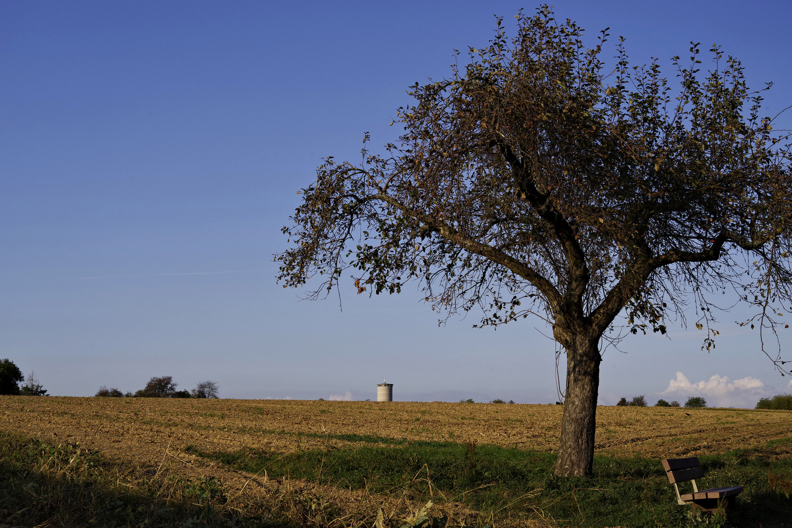 Herbst auf der Hochebene