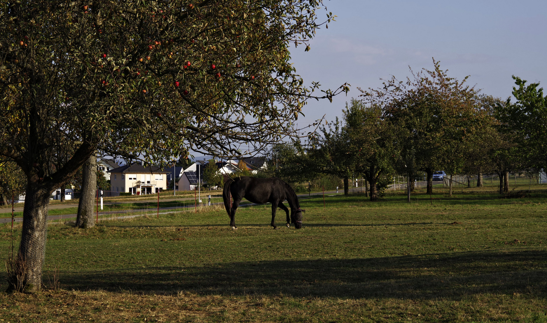 Herbst auf der Hochebene