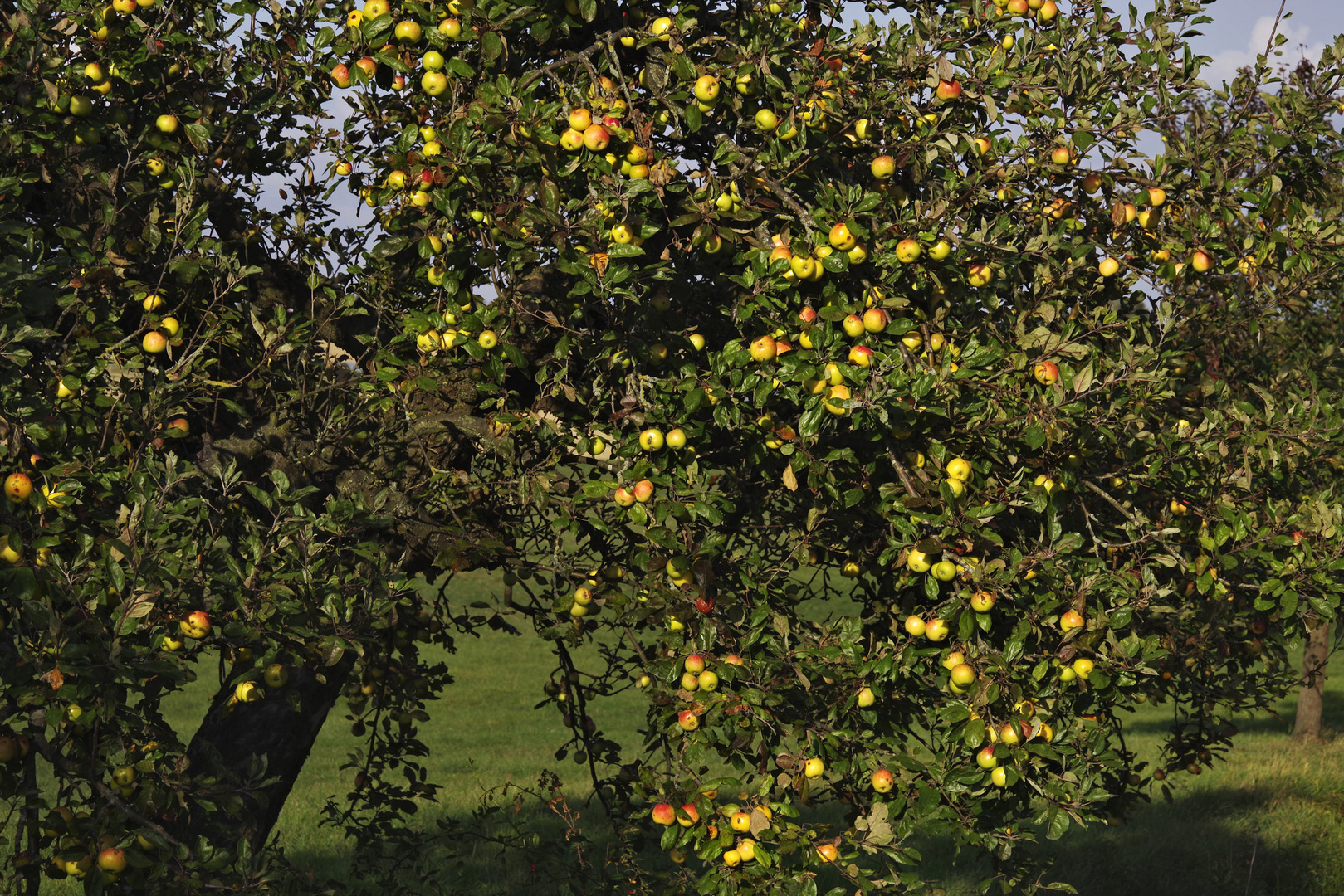 Herbst auf der Hochebene