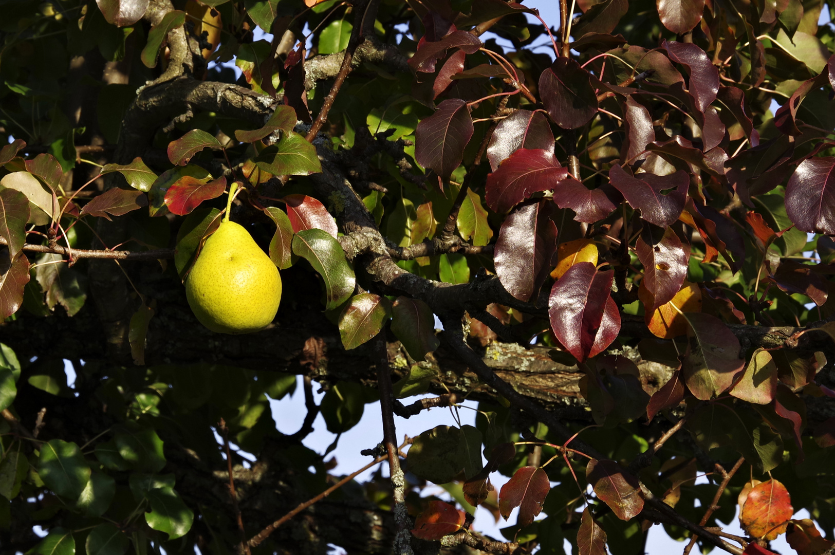 Herbst auf der Hochebene